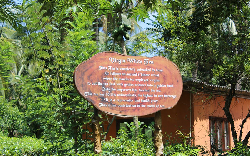 Handunugoda Tea Factory